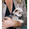 Jet Onyx Match Your Pet Gift Set