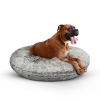 Bagel Bed XL - Frosted Snow