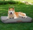 Outdoor Inflatable Dog Bed for Small Dogs, Winter Outdoor Travel Dogs Met with Removeable Cover