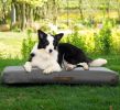 Outdoor Inflatable Dog Bed for Small Dogs, Winter Outdoor Travel Dogs Met with Removeable Cover