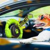 Dog Toys for Aggressive Chewers Large Medium Small Breed Indestructible Durable Tough Dog Chew Toys to Keep Them Busy Nylon Rubber Interactive Dog Toy