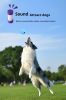 Pet Interactive Sound Ball, Dog Cat Pet Voice Ball,Interactive Pet Squeaky Toys