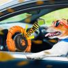 Dog Toys for Aggressive Chewers Large Medium Small Breed Indestructible Durable Tough Dog Chew Toys to Keep Them Busy Nylon Rubber Interactive Dog Toy